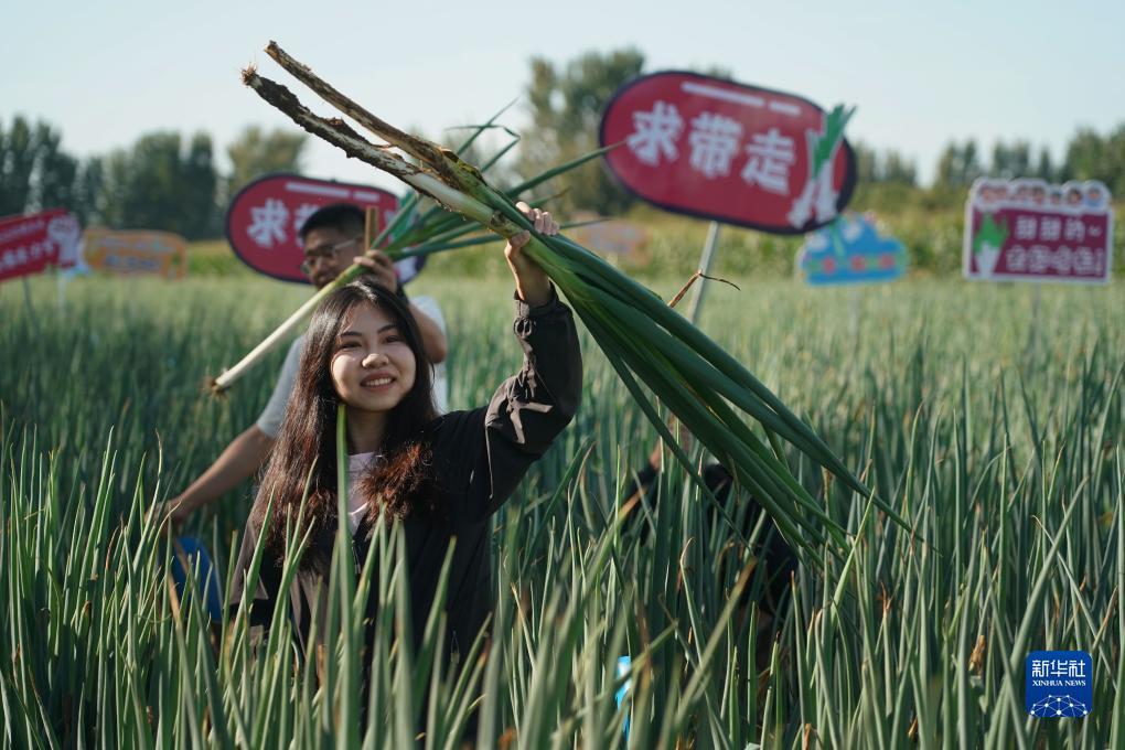 聚宝盆论坛